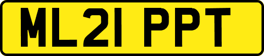 ML21PPT