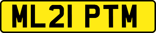 ML21PTM