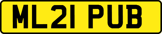 ML21PUB