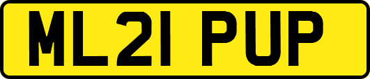 ML21PUP