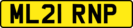 ML21RNP