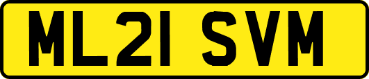 ML21SVM