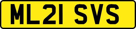 ML21SVS