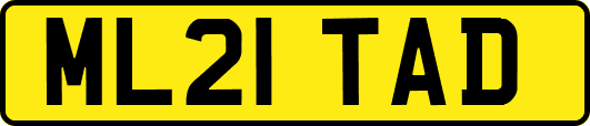 ML21TAD