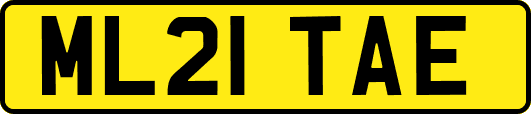 ML21TAE