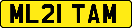 ML21TAM