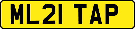ML21TAP