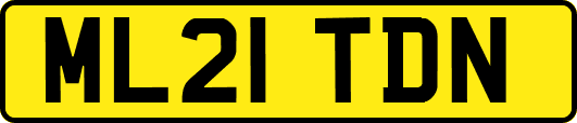 ML21TDN