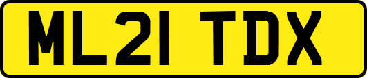 ML21TDX