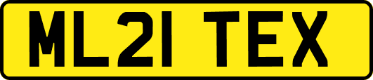 ML21TEX