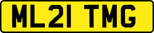 ML21TMG