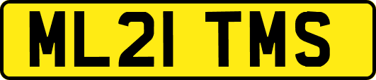 ML21TMS