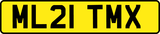 ML21TMX