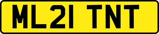 ML21TNT