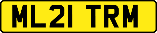 ML21TRM