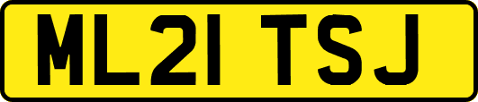 ML21TSJ