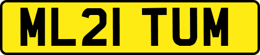 ML21TUM