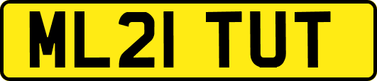 ML21TUT