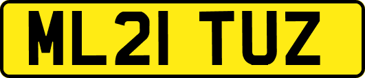 ML21TUZ