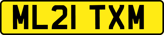 ML21TXM