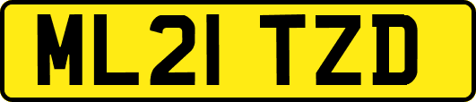 ML21TZD