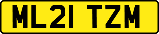 ML21TZM
