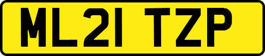 ML21TZP