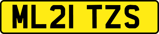 ML21TZS