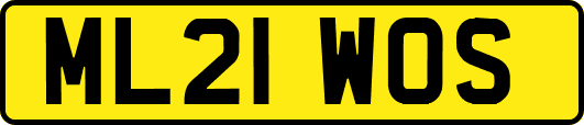 ML21WOS