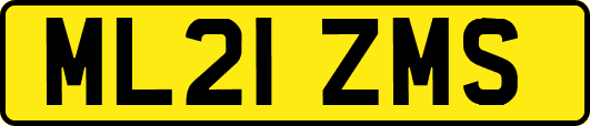 ML21ZMS