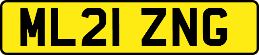ML21ZNG
