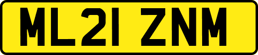 ML21ZNM