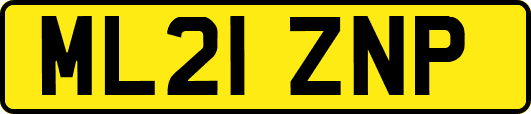 ML21ZNP