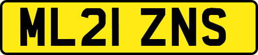 ML21ZNS