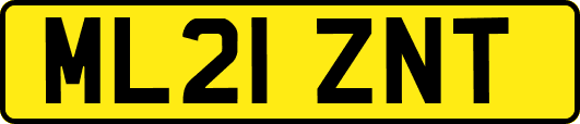 ML21ZNT