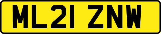 ML21ZNW