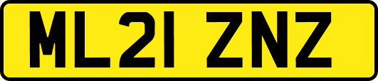 ML21ZNZ