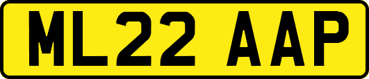 ML22AAP