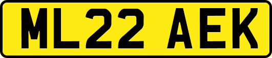 ML22AEK