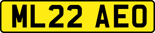 ML22AEO