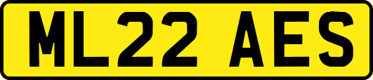 ML22AES