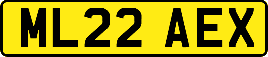 ML22AEX