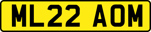 ML22AOM