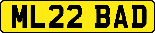 ML22BAD