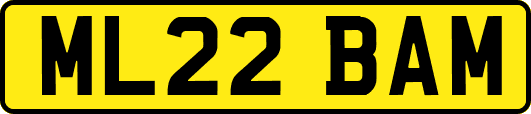 ML22BAM