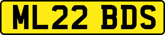 ML22BDS