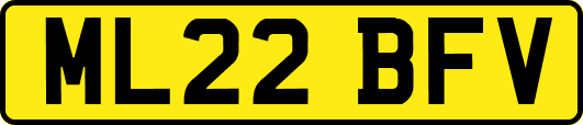 ML22BFV
