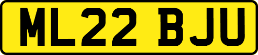ML22BJU
