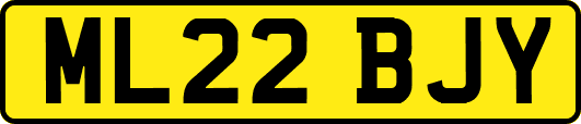 ML22BJY