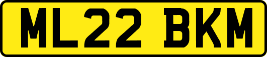 ML22BKM